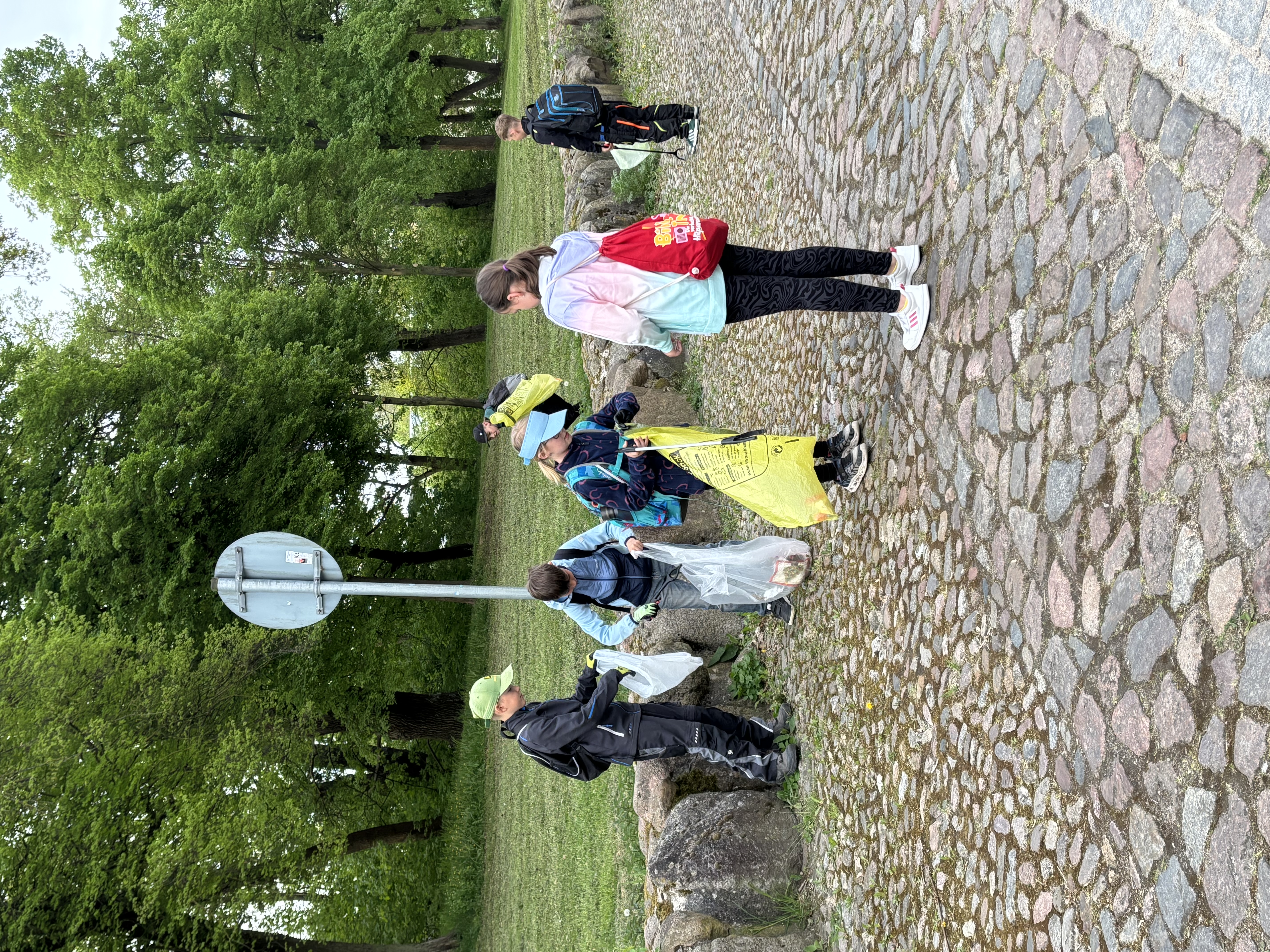 Bild Mll sammeln